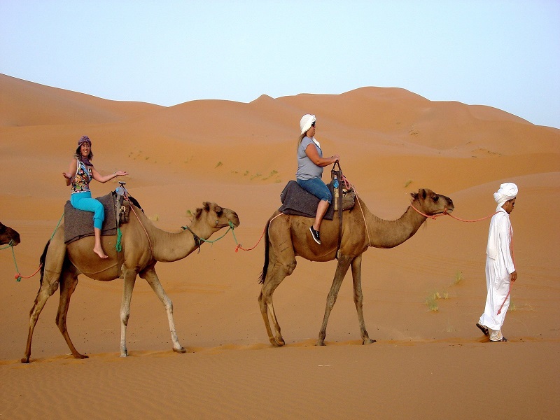 Camel Trekking