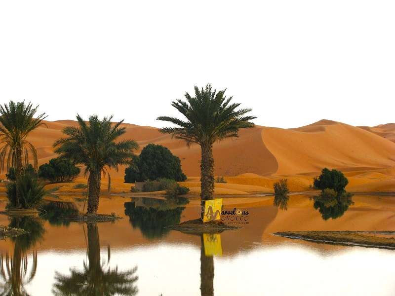 Lake Merzouga