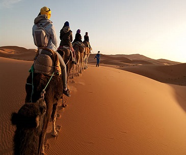 Camel ride in Zagora desert, Marrakech to Zagora tour