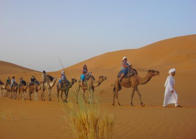 Paseos en camello por el desierto del Sahara