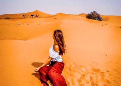 Los viajes al desierto